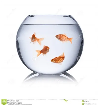 Es-tu enfermé tout le temps dans ta chambre ?