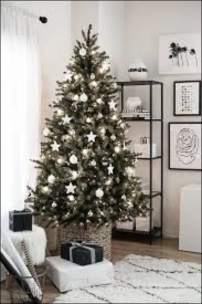 Quel arbre décore-t-on à noël ?