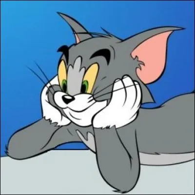 C'est un chat qui cherche à attraper Jerry, la souris, qui est plus malicieuse que lui :