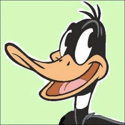 Le grand rival de Bugs Bunny, une grande gueule qui articule mal et qui est toujours un paquet de nerfs :