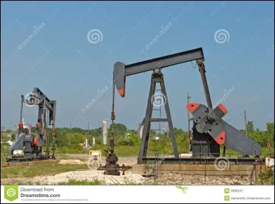 Dans quel pays d'Amérique du Nord peut-on trouver de nombreux gisements de pétrole et de gaz naturel ?