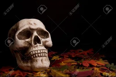 O&ugrave; voudrais-tu aller pour ton Halloween ?