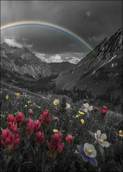 Quelles sont les couleurs de l'arc en ciel ?