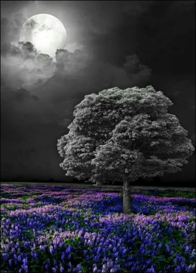 Qu'appelle-t-on un orage à virga ?