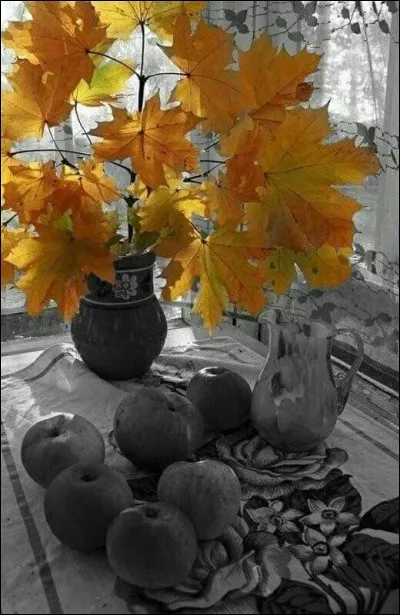 Sur quel arbre a-t-on cueilli ces feuilles pour réaliser ce magnifique bouquet ?