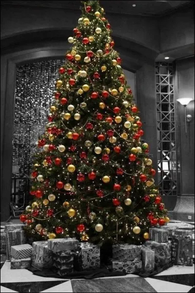 Qu'est-il important de faire, pour accueillir le Père Noël ?