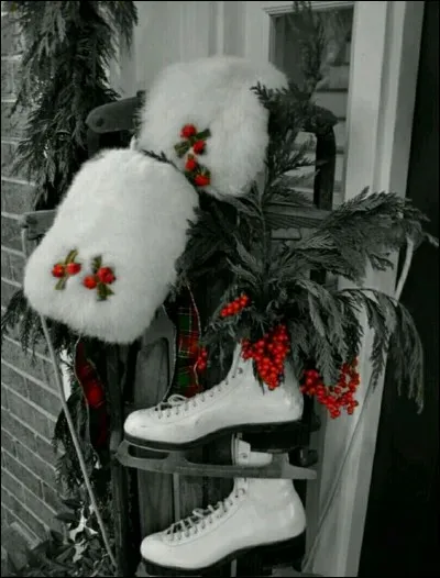 Le houx enjolive la fête, si l'on en cueille, pour décorer la maison, que prendra-t-on pour qu'il ait de jolies baies rouges ?