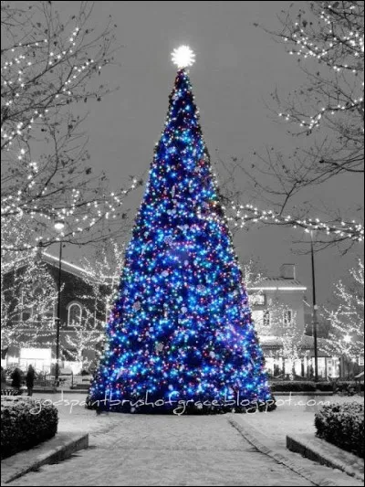 Dans quelle ville française le premier sapin de Noël a-t-il été décoré ?