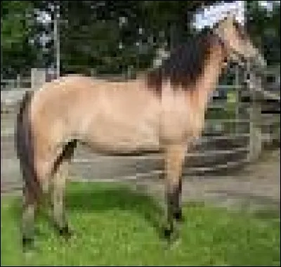 Quelle est cette robe ?