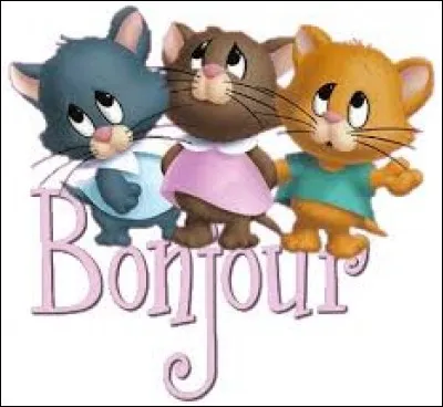 Langage mélangeant l'arabe, le français, l'italien et l'espagnol, en Afrique du Nord :