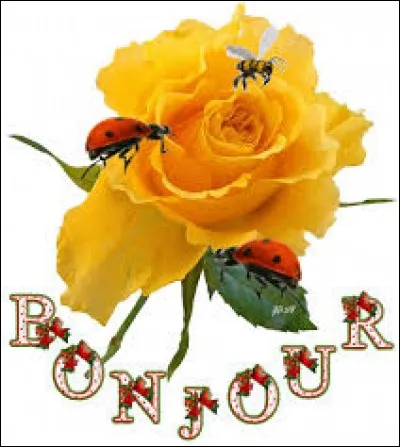 Petit gâteau sec à pâte friable :