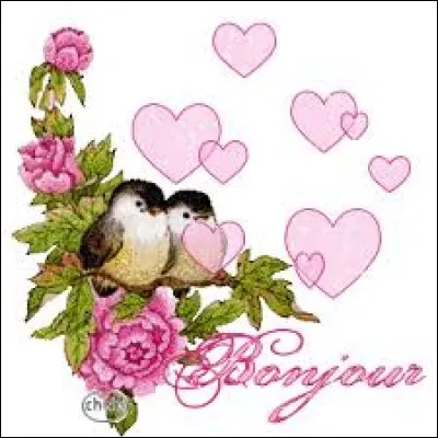 Manteau court ne dépassant pas les genoux, porté par les soldats romains et gaulois :