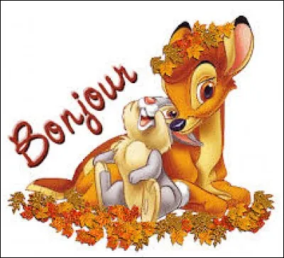 Musique et danse afro-cubaine :