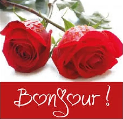 En médecine, anesthésie du bassin et des membres inférieurs :