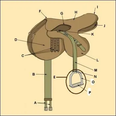 Quelle est la partie de la selle avec la lettre E?