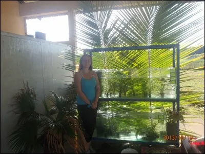 Combien pèse un litre d'eau congelée ?