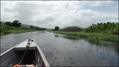 Que se passe-t-il dans cette série australienne de 2006 "H2O" ?