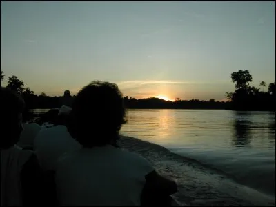 En quelle décennie est sorti le film "Singin'in the Rain"