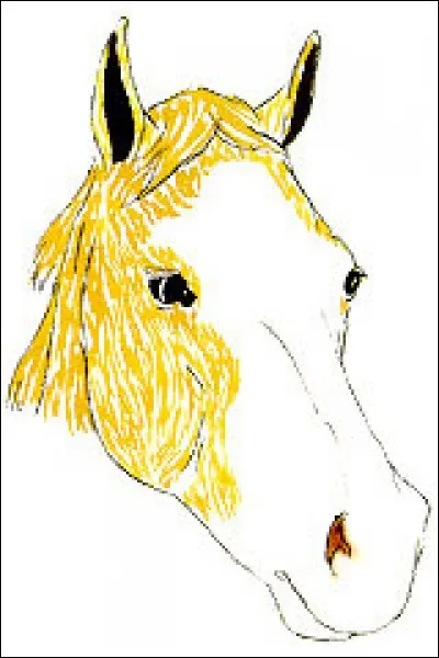 Quel est le nom de cette face ?