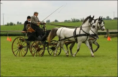 Quel est le nom de ce véhicule ?