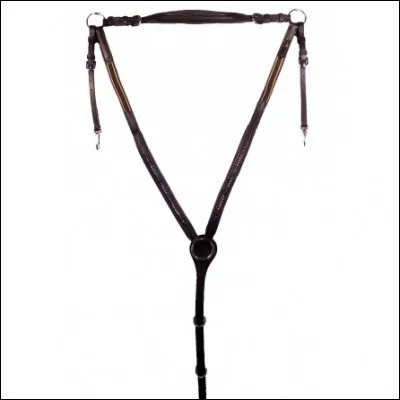 Quel est le nom de cet équipement ?