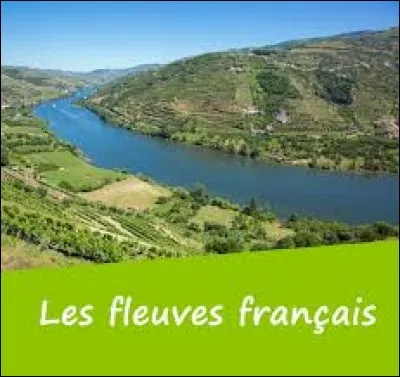 Lequel de ces cours d'eau n'est pas un fleuve ?