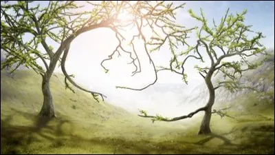 Que vois-tu sur ce dessin ?