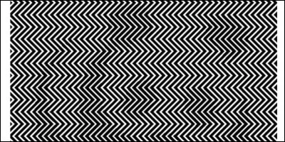 Recule et dis ce que tu vois.