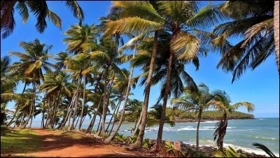 Quel est le chef-lieu de la Guyane ?