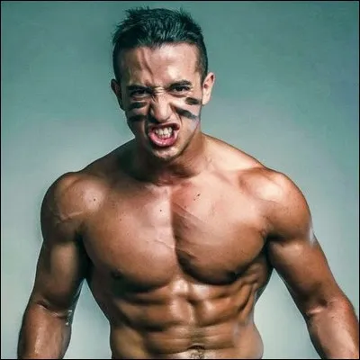 Combien d'abonnés a le célèbre TiboInshape ?