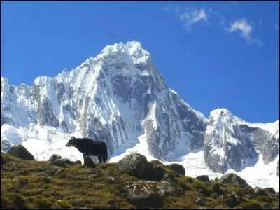 Le Nevado Huascaran est le point culminant de quel pays ?
