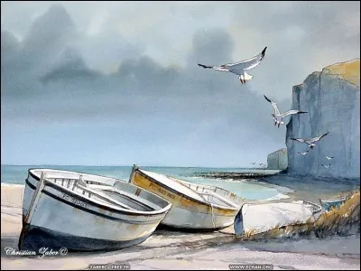 Le ravenala, arbre de Madagascar dont les feuilles poussent en éventail et retiennent l'eau de pluie, est également appelé arbre du...