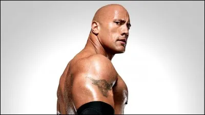 Qui a gagné contre The Rock à Wrestlemania 29 ?
