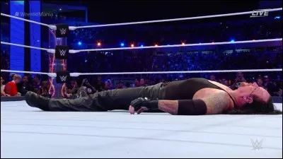 À cause de qui la carrière de l'Undertaker s'est-elle arrêtée à Wrestlemania 33 ?