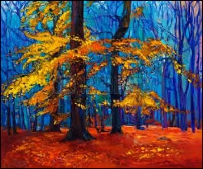 Familièrement, idée fixe, manie : ma...