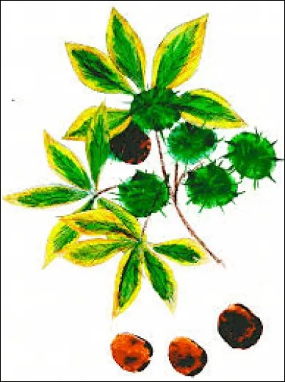 Langue parlée en Argentine et au Chili par les tribus araucaniennes : ma...