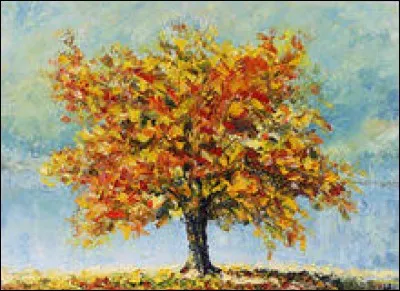 Modifie pour donner une apparence trompeuse : ma...