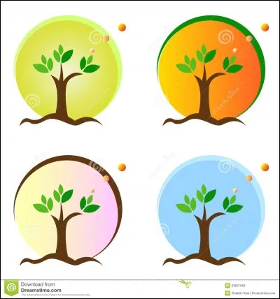 Quelle est ta saison préférée ?