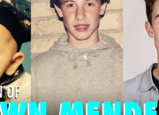 Quiz Connais-tu bien le chanteur Shawn Mendes ?