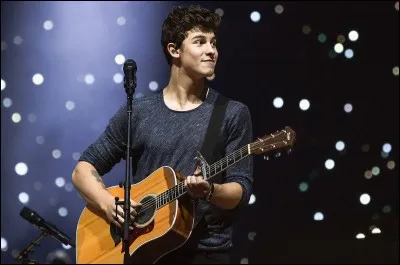 Quand a eu lieu son premier concert ?