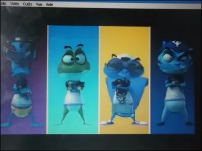 Quelles sont les couleurs préférées de Moignon ?