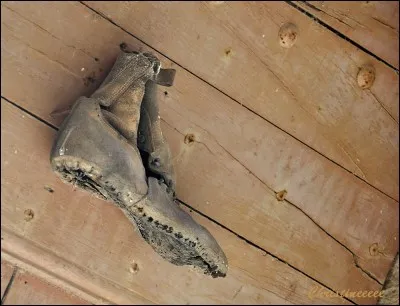 Jusqu'au bout pour le rat.