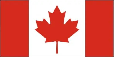 De quel pays est ce drapeau ?