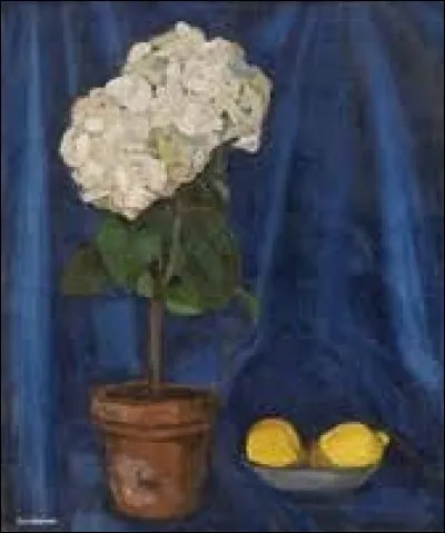 Qui a peint "Bouquet d'hortensias et citron" ?