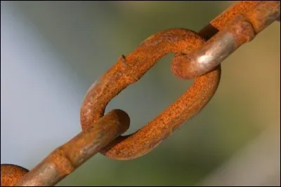 La citation de Léonard de Vinci sur l'eau et le froid commence par :