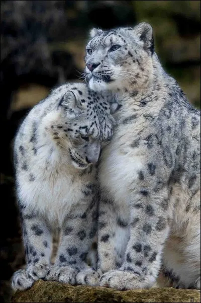 Que pr&eacute;f&egrave;res-tu ?