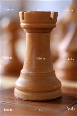 Comment se nomme cette pice d'checs ?