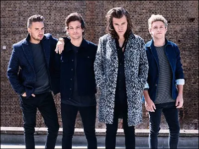 Qui est le plus &acirc;g&eacute; du boys band ?