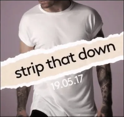 Qui a sorti le titre "Strip That Down" ?