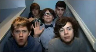 Dans les &laquo;&nbsp;Video Diaries&nbsp;&raquo;, lequel des membres est surnomm&eacute; le Leader ?